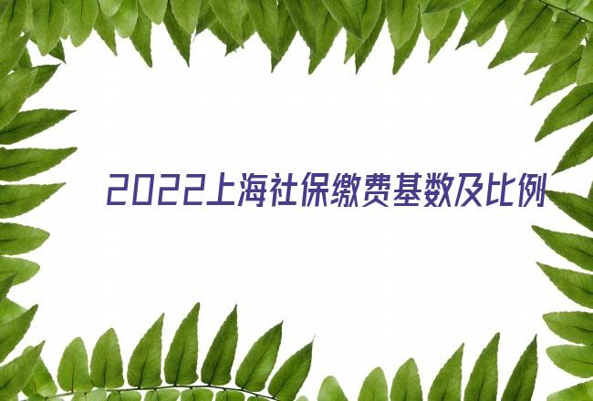 2022上海社保缴费基数及比例