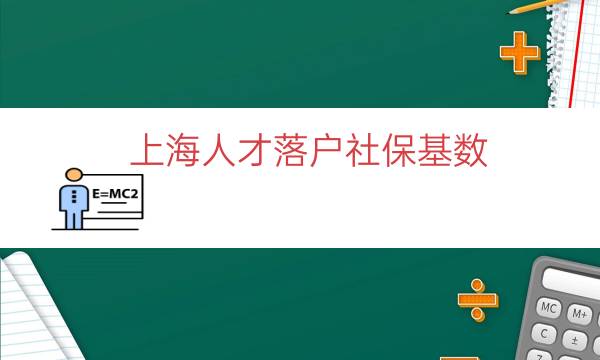 上海人才落户社保基数（上海落户缴纳社保基数）