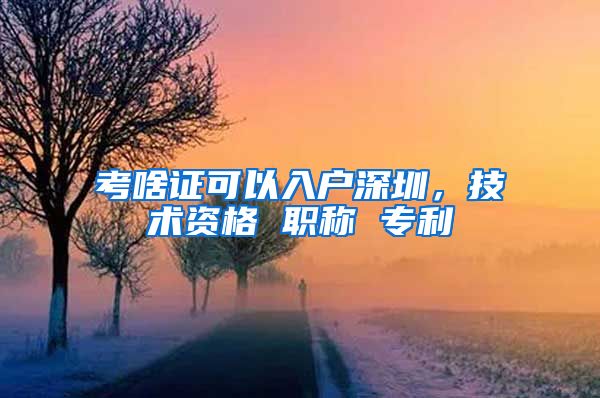 考啥证可以入户深圳，技术资格 职称 专利