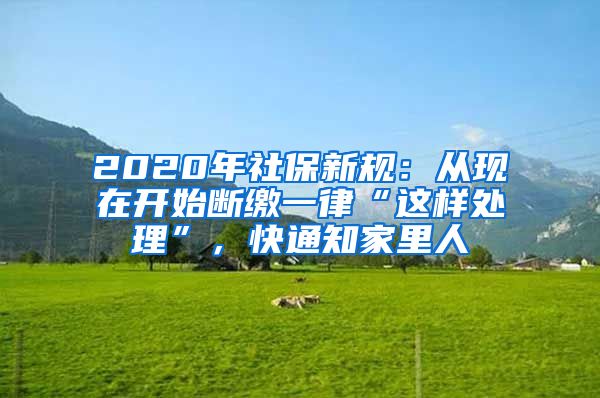 2020年社保新规：从现在开始断缴一律“这样处理”，快通知家里人