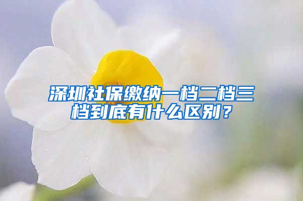 深圳社保缴纳一档二档三档到底有什么区别？