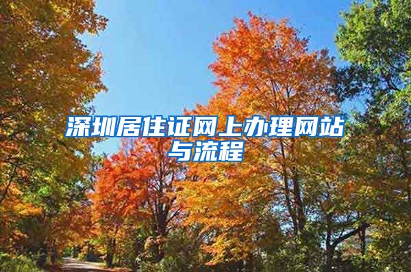 深圳居住证网上办理网站与流程