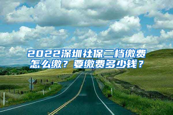 2022深圳社保二档缴费怎么缴？要缴费多少钱？