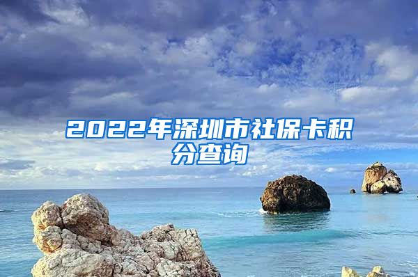 2022年深圳市社保卡积分查询