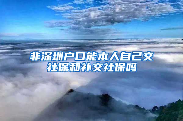 非深圳户口能本人自己交社保和补交社保吗