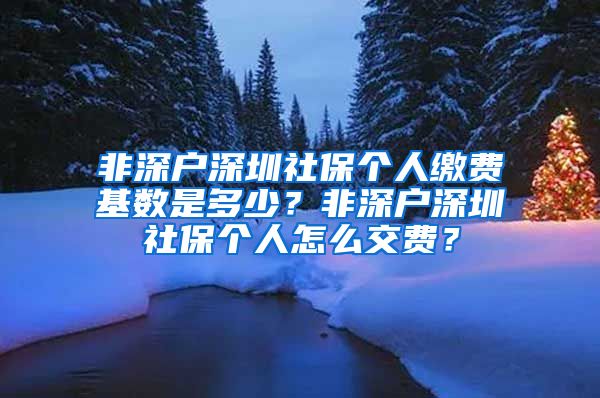 非深户深圳社保个人缴费基数是多少？非深户深圳社保个人怎么交费？