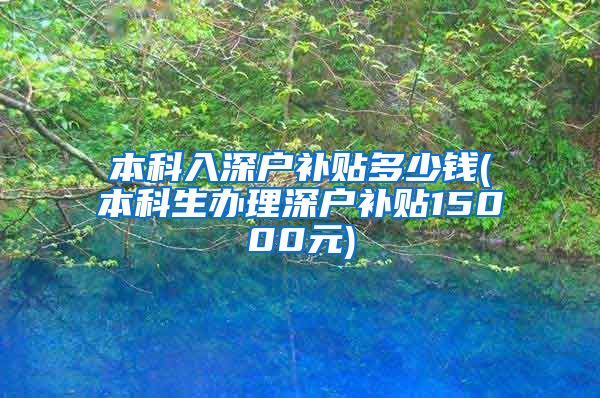 本科入深户补贴多少钱(本科生办理深户补贴15000元)