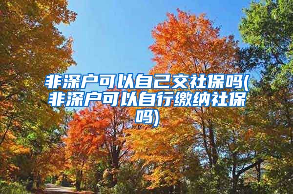 非深户可以自己交社保吗(非深户可以自行缴纳社保吗)