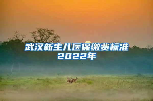 武汉新生儿医保缴费标准2022年