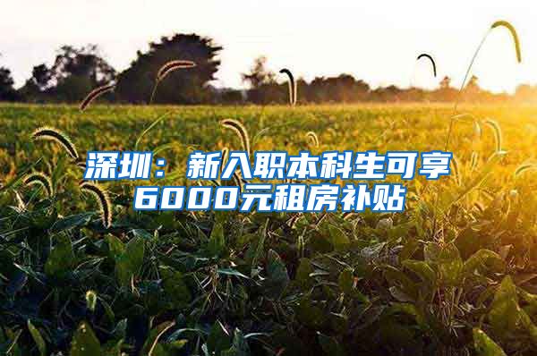 深圳：新入职本科生可享6000元租房补贴