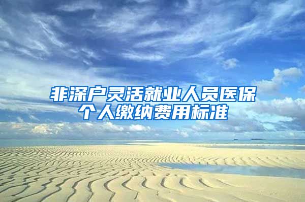 非深户灵活就业人员医保个人缴纳费用标准