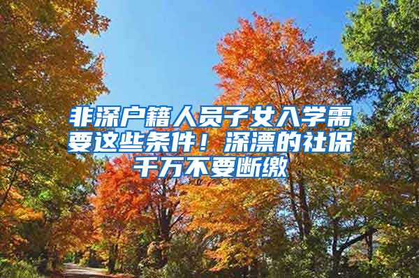 非深户籍人员子女入学需要这些条件！深漂的社保千万不要断缴