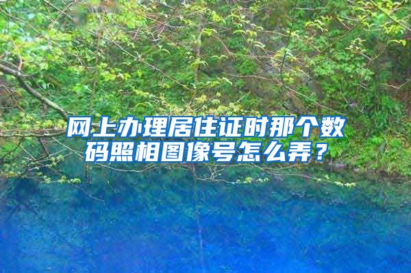 网上办理居住证时那个数码照相图像号怎么弄？