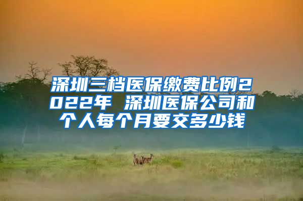 深圳三档医保缴费比例2022年 深圳医保公司和个人每个月要交多少钱