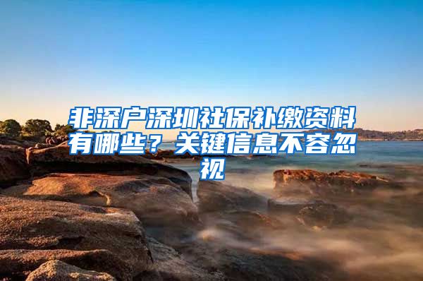 非深户深圳社保补缴资料有哪些？关键信息不容忽视