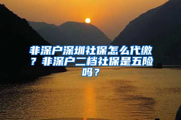 非深户深圳社保怎么代缴？非深户二档社保是五险吗？