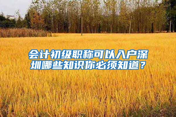 会计初级职称可以入户深圳哪些知识你必须知道？