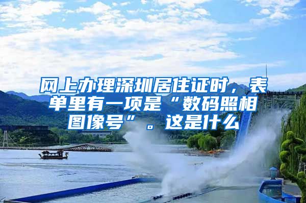 网上办理深圳居住证时，表单里有一项是“数码照相图像号”。这是什么