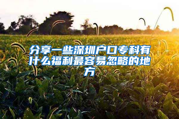 分享一些深圳户口专科有什么福利最容易忽略的地方