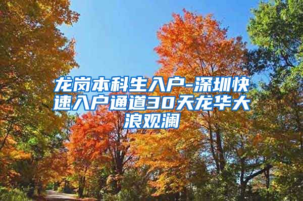 龙岗本科生入户-深圳快速入户通道30天龙华大浪观澜