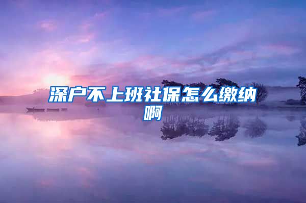 深户不上班社保怎么缴纳啊