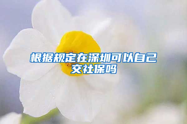 根据规定在深圳可以自己交社保吗