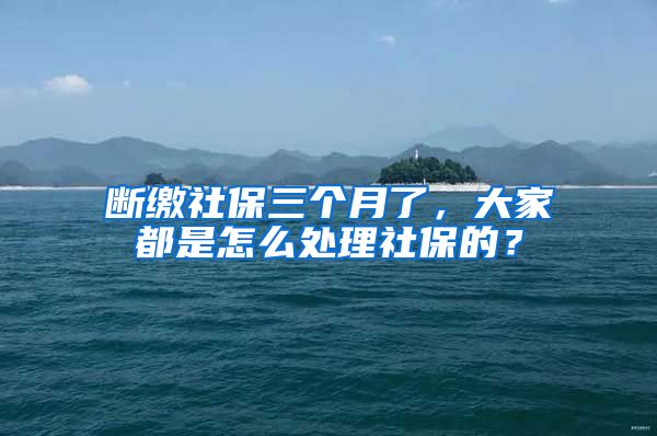 断缴社保三个月了，大家都是怎么处理社保的？