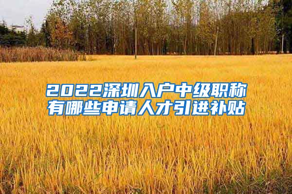 2022深圳入户中级职称有哪些申请人才引进补贴