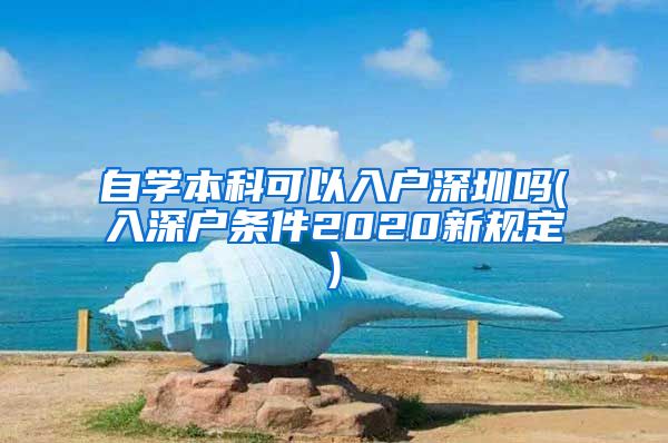 自学本科可以入户深圳吗(入深户条件2020新规定)