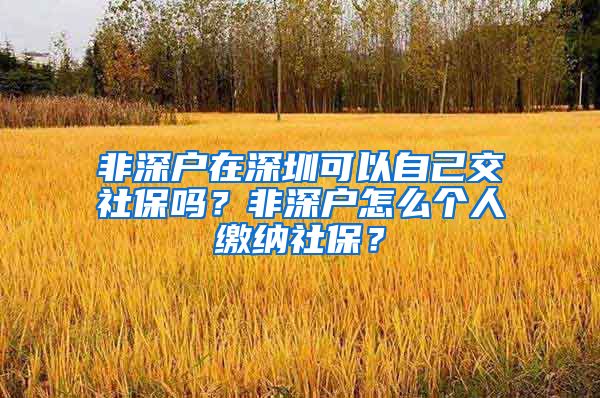 非深户在深圳可以自己交社保吗？非深户怎么个人缴纳社保？