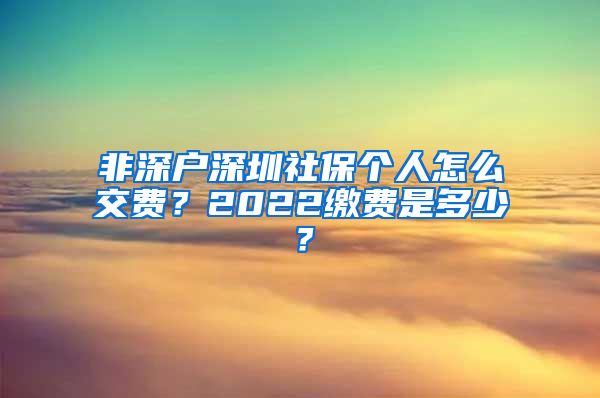 非深户深圳社保个人怎么交费？2022缴费是多少？