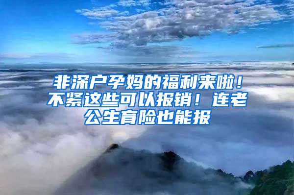 非深户孕妈的福利来啦！不紧这些可以报销！连老公生育险也能报