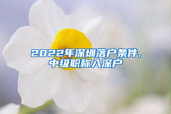 2022年深圳落户条件,中级职称入深户