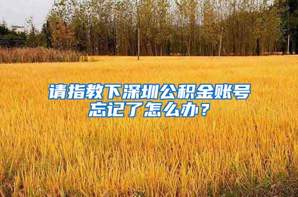 请指教下深圳公积金账号忘记了怎么办？