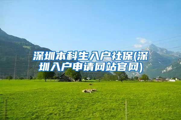 深圳本科生入户社保(深圳入户申请网站官网)