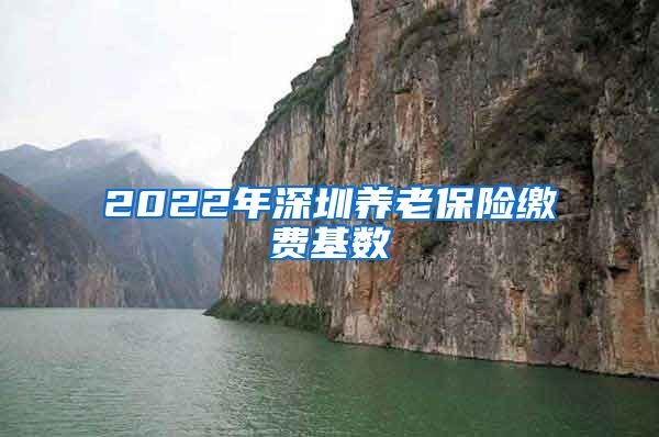 2022年深圳养老保险缴费基数