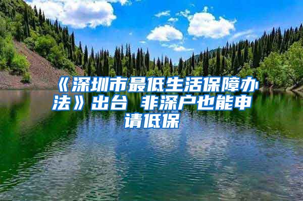 《深圳市最低生活保障办法》出台 非深户也能申请低保