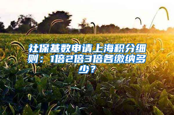 社保基数申请上海积分细则：1倍2倍3倍各缴纳多少？