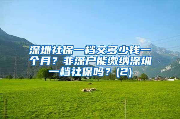 深圳社保一档交多少钱一个月？非深户能缴纳深圳一档社保吗？(2)