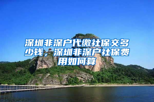 深圳非深户代缴社保交多少钱，深圳非深户社保费用如何算