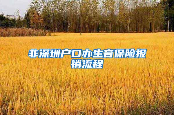 非深圳户口办生育保险报销流程