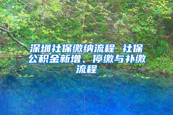 深圳社保缴纳流程 社保公积金新增、停缴与补缴流程