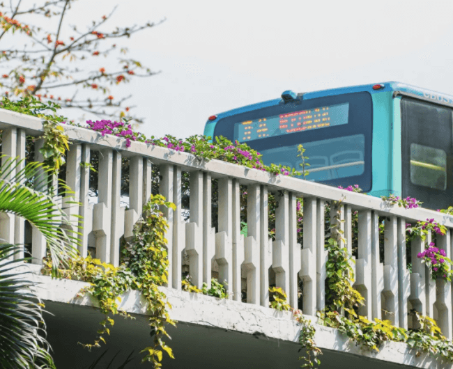 深圳居住证最新申办流程图解