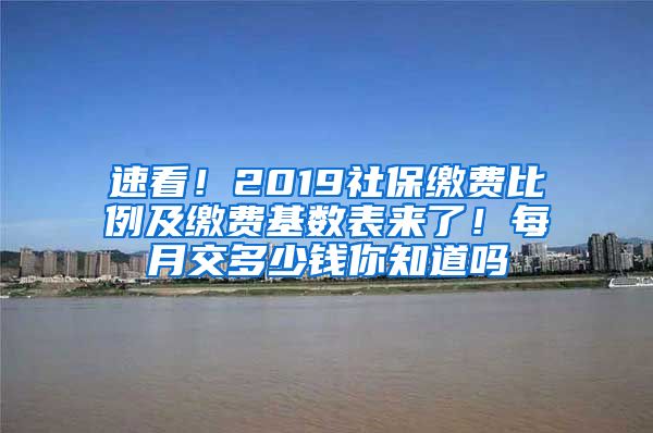 速看！2019社保缴费比例及缴费基数表来了！每月交多少钱你知道吗