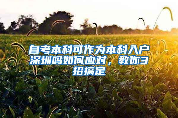 自考本科可作为本科入户深圳吗如何应对，教你3招搞定