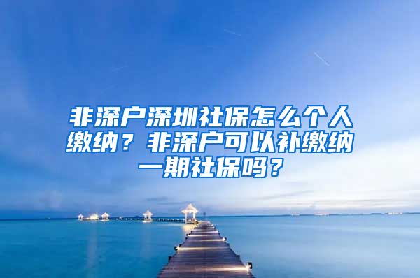 非深户深圳社保怎么个人缴纳？非深户可以补缴纳一期社保吗？