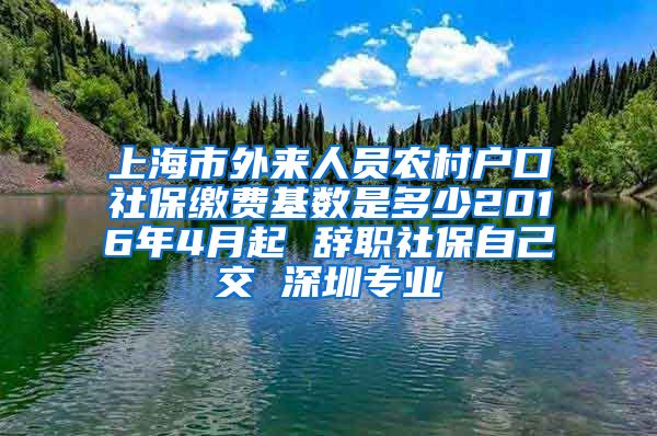 上海市外来人员农村户口社保缴费基数是多少2016年4月起 辞职社保自己交 深圳专业