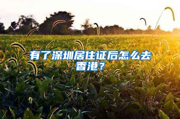 有了深圳居住证后怎么去香港？