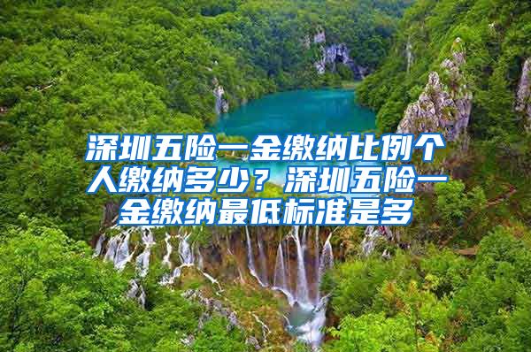 深圳五险一金缴纳比例个人缴纳多少？深圳五险一金缴纳最低标准是多