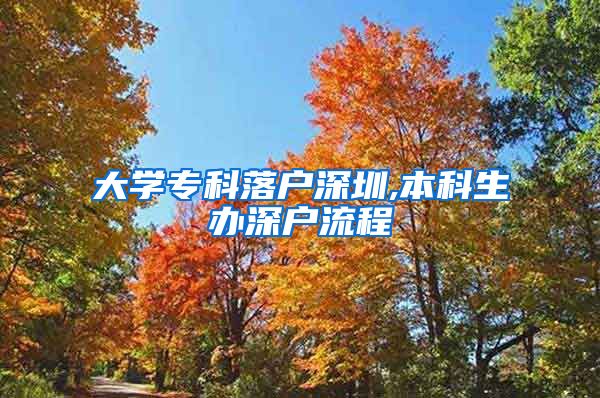 大学专科落户深圳,本科生办深户流程